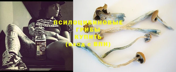 амф Алексин